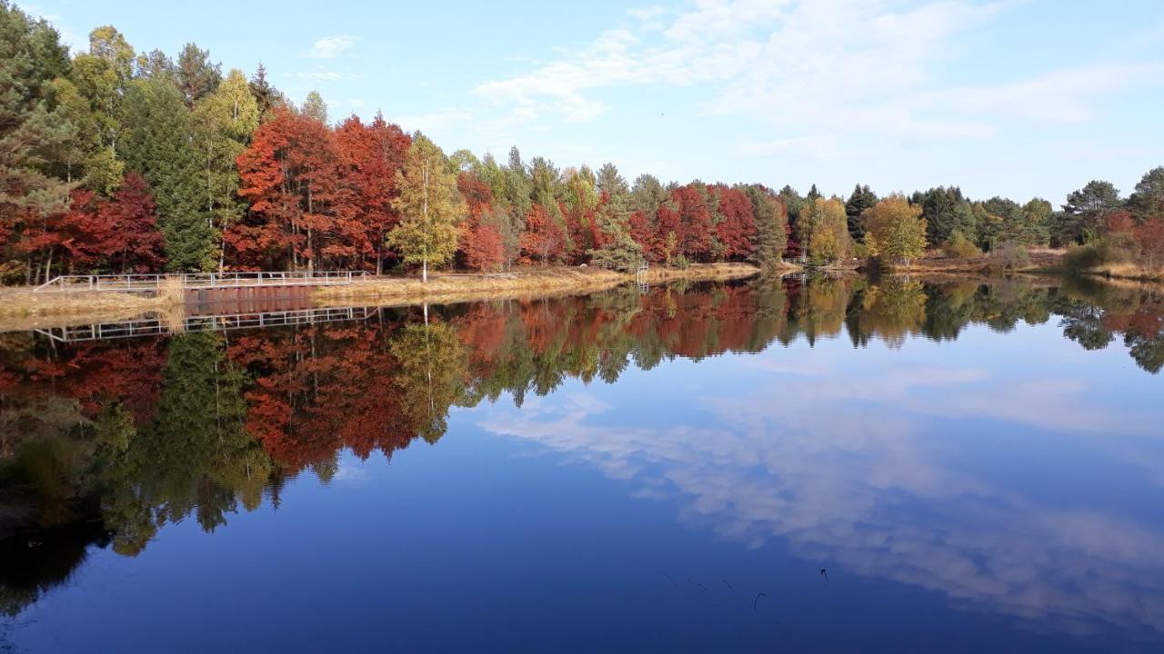 Naturhotel Hof Ehlers 베르겐 외부 사진