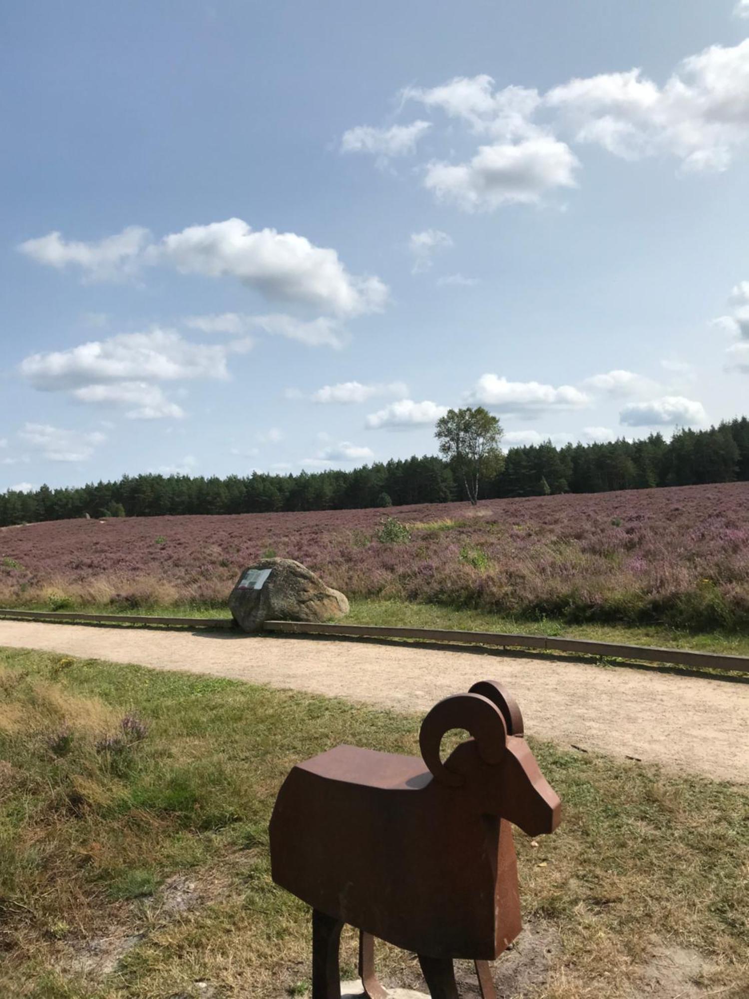 Naturhotel Hof Ehlers 베르겐 외부 사진