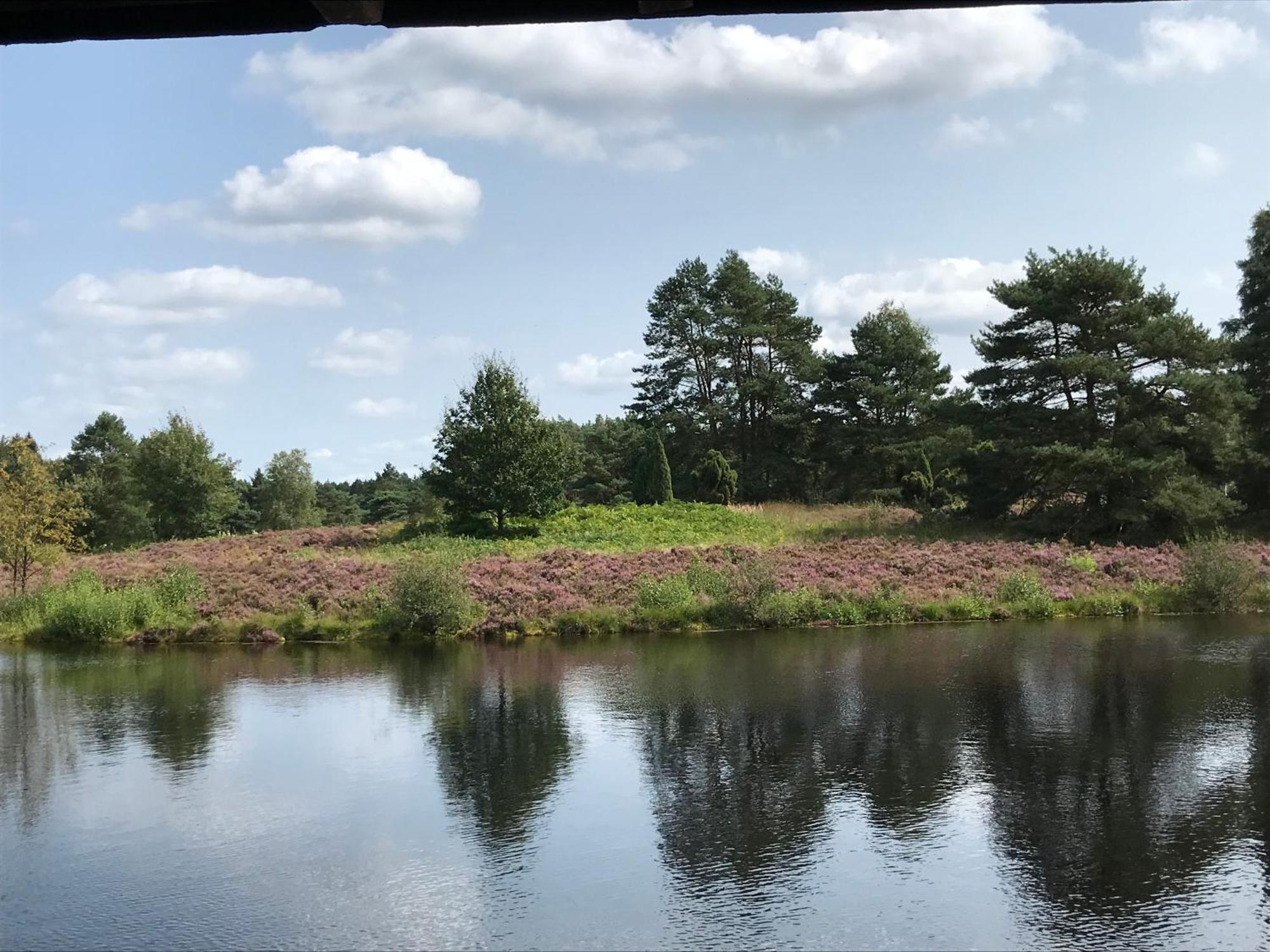 Naturhotel Hof Ehlers 베르겐 외부 사진