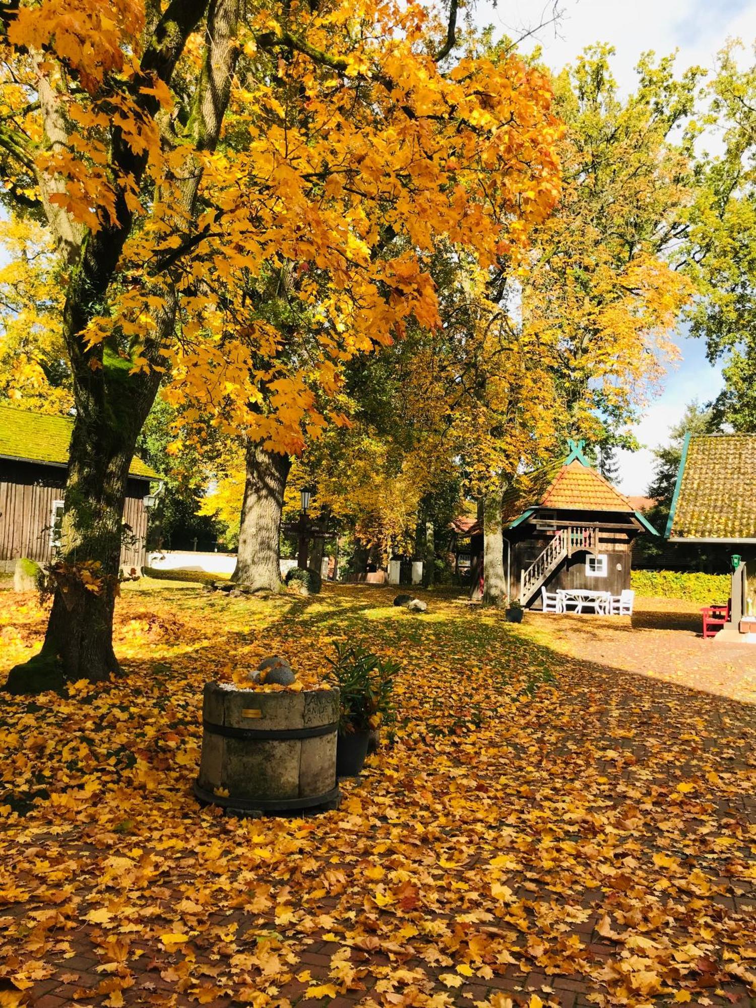 Naturhotel Hof Ehlers 베르겐 외부 사진